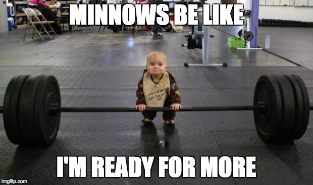 Baby weight lifter | MINNOWS BE LIKE; I'M READY FOR MORE | image tagged in baby weight lifter | made w/ Imgflip meme maker