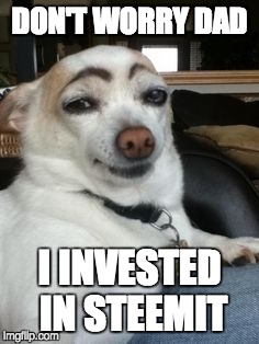 Eyebrow dog | DON'T WORRY DAD; I INVESTED IN STEEMIT | image tagged in eyebrow dog | made w/ Imgflip meme maker