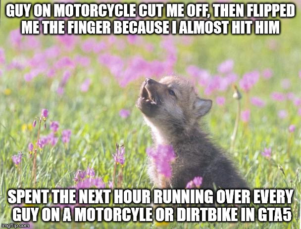 Baby Insanity Wolf Meme | GUY ON MOTORCYCLE CUT ME OFF, THEN FLIPPED ME THE FINGER BECAUSE I ALMOST HIT HIM; SPENT THE NEXT HOUR RUNNING OVER EVERY GUY ON A MOTORCYLE OR DIRTBIKE IN GTA5 | image tagged in memes,baby insanity wolf | made w/ Imgflip meme maker