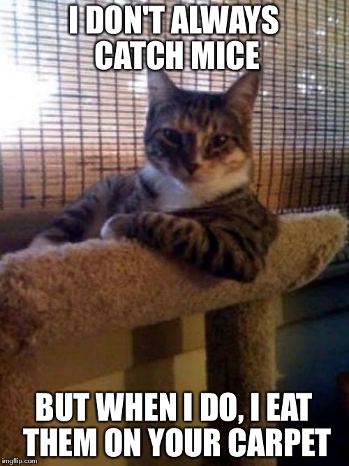 The Most Interesting Cat In The World | I DON'T ALWAYS CATCH MICE; BUT WHEN I DO, I EAT THEM ON YOUR CARPET | image tagged in memes,the most interesting cat in the world | made w/ Imgflip meme maker