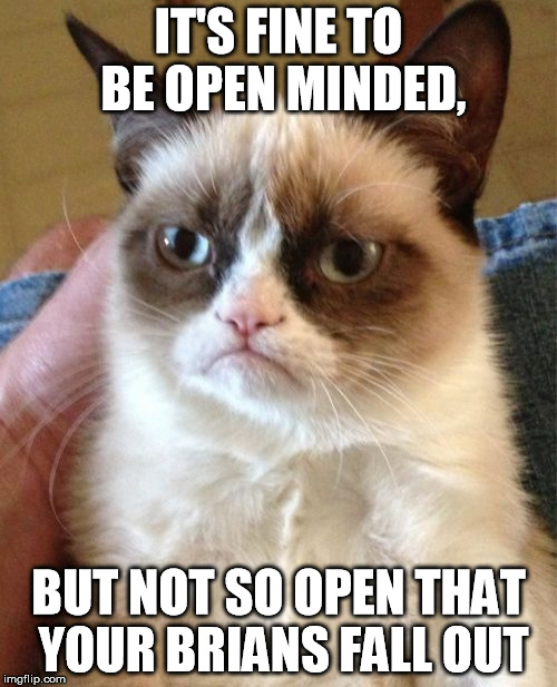 Grumpy Cat Meme | IT'S FINE TO BE OPEN MINDED, BUT NOT SO OPEN THAT YOUR BRIANS FALL OUT | image tagged in memes,grumpy cat | made w/ Imgflip meme maker