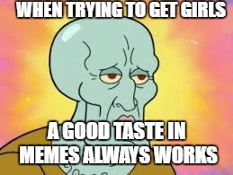 Swag | WHEN TRYING TO GET GIRLS; A GOOD TASTE IN MEMES ALWAYS WORKS | image tagged in swag | made w/ Imgflip meme maker