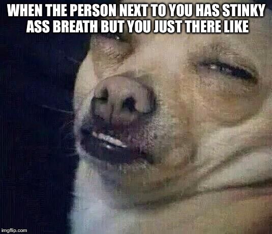 Too Dank |  WHEN THE PERSON NEXT TO YOU HAS STINKY ASS BREATH BUT YOU JUST THERE LIKE | image tagged in too dank | made w/ Imgflip meme maker