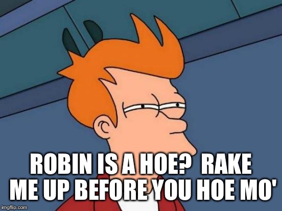 Futurama Fry Meme | ROBIN IS A HOE?  RAKE ME UP BEFORE YOU HOE MO' | image tagged in memes,futurama fry | made w/ Imgflip meme maker