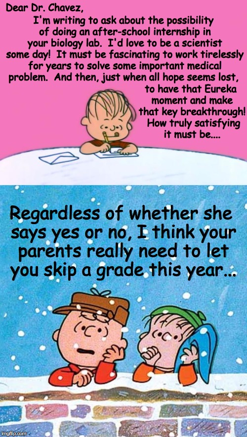 Reading is fundamental, but writing is the bomb! | Dear Dr. Chavez, I'm writing to ask about the possibility of doing an after-school internship in your biology lab.  I'd love to be a scientist some day!  It must be fascinating to work tirelessly for years to solve some important medical problem.  And then, just when all hope seems lost, to have that Eureka moment and make that key breakthrough!  How truly satisfying it must be.... Regardless of whether she says yes or no, I think your parents really need to let you skip a grade this year... | image tagged in memes,linus,charlie brown,science,funny memes | made w/ Imgflip meme maker