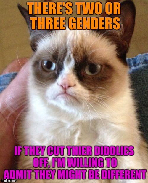 Grumpy Cat Meme | THERE'S TWO OR THREE GENDERS IF THEY CUT THIER DIDDLIES OFF, I'M WILLING TO ADMIT THEY MIGHT BE DIFFERENT | image tagged in memes,grumpy cat | made w/ Imgflip meme maker