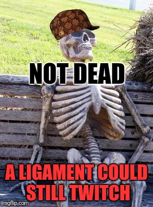 Waiting Skeleton Meme | NOT DEAD A LIGAMENT COULD STILL TWITCH | image tagged in memes,waiting skeleton,scumbag | made w/ Imgflip meme maker