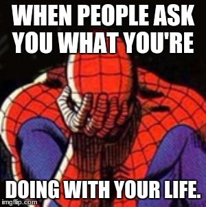 Sad Spiderman Meme | WHEN PEOPLE ASK YOU WHAT YOU'RE; DOING WITH YOUR LIFE. | image tagged in memes,sad spiderman,spiderman | made w/ Imgflip meme maker