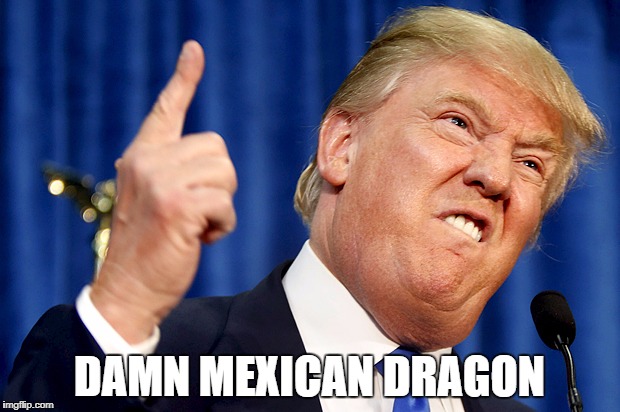 Donald Trump | DAMN MEXICAN DRAGON | image tagged in donald trump | made w/ Imgflip meme maker