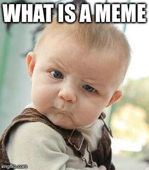 Confused Baby | WHAT IS A MEME | image tagged in confused baby | made w/ Imgflip meme maker
