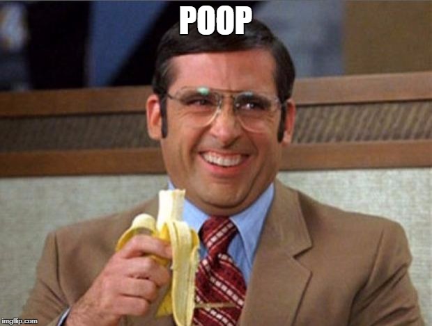 brick tamland | POOP | image tagged in brick tamland | made w/ Imgflip meme maker