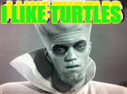 So Yeah. | I LIKE TURTLES; I LIKE TURTLES | image tagged in turtles of the new turtle power,ninja squirrels,memes,new turtle posse | made w/ Imgflip meme maker