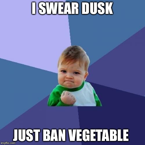 Success Kid | I SWEAR DUSK; JUST BAN VEGETABLE | image tagged in memes,success kid | made w/ Imgflip meme maker