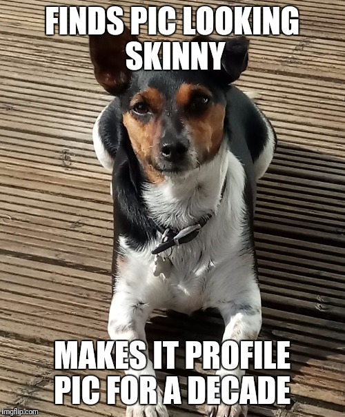 Skinny profile pic | FINDS PIC LOOKING SKINNY; MAKES IT PROFILE PIC FOR A DECADE | image tagged in fat,profile picture,skinny | made w/ Imgflip meme maker