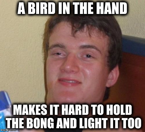 10 Guy Meme | A BIRD IN THE HAND; MAKES IT HARD TO HOLD THE BONG AND LIGHT IT TOO | image tagged in memes,10 guy | made w/ Imgflip meme maker