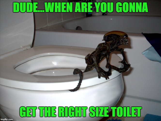 DUDE...WHEN ARE YOU GONNA GET THE RIGHT SIZE TOILET | made w/ Imgflip meme maker