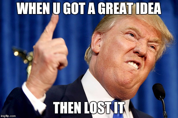 Donald Trump | WHEN U GOT A GREAT IDEA; THEN LOST IT | image tagged in donald trump | made w/ Imgflip meme maker