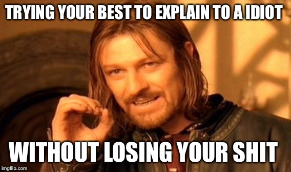 One Does Not Simply | TRYING YOUR BEST TO EXPLAIN TO A IDIOT; WITHOUT LOSING YOUR SHIT | image tagged in memes,one does not simply | made w/ Imgflip meme maker