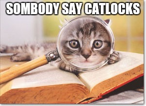 cat magnifying glass | SOMBODY SAY CATLOCKS | image tagged in cat magnifying glass | made w/ Imgflip meme maker