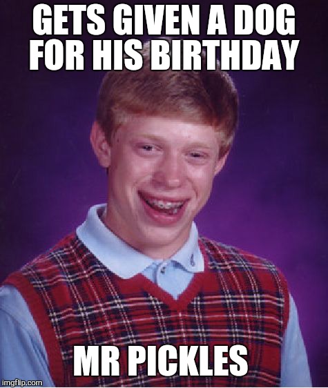 Good boy | GETS GIVEN A DOG FOR HIS BIRTHDAY; MR PICKLES | image tagged in memes,bad luck brian,mr pickles,funny,dank memes | made w/ Imgflip meme maker