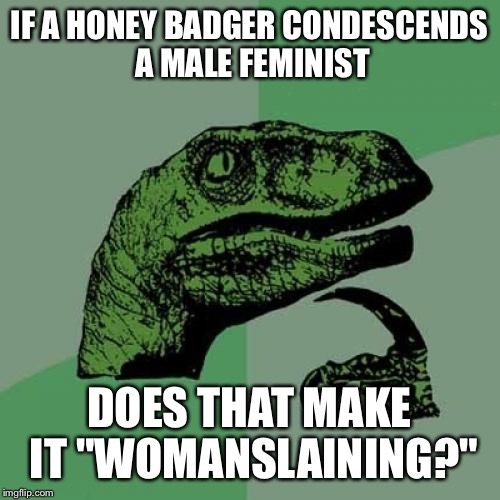 Philosoraptor Meme | IF A HONEY BADGER CONDESCENDS A MALE FEMINIST; DOES THAT MAKE IT "WOMANSLAINING?" | image tagged in memes,philosoraptor | made w/ Imgflip meme maker