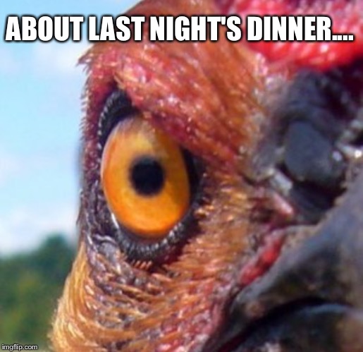 ABOUT LAST NIGHT'S DINNER.... | made w/ Imgflip meme maker