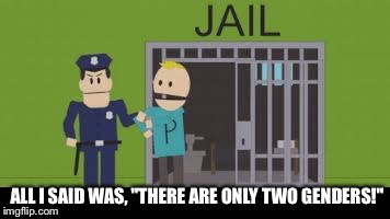 Philip goes to jail | ALL I SAID WAS, "THERE ARE ONLY TWO GENDERS!" | image tagged in philip goes to jail | made w/ Imgflip meme maker