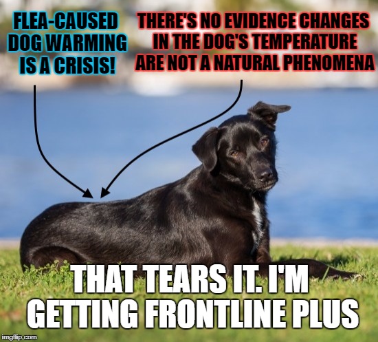 FLEA-CAUSED DOG WARMING IS A CRISIS! THERE'S NO EVIDENCE CHANGES IN THE DOG'S TEMPERATURE ARE NOT A NATURAL PHENOMENA THAT TEARS IT. I'M GET | made w/ Imgflip meme maker