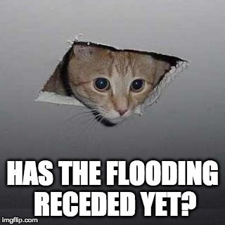 Has flooding receded? | HAS THE FLOODING RECEDED YET? | image tagged in memes,ceiling cat,houston,flood,hurricane harvey | made w/ Imgflip meme maker