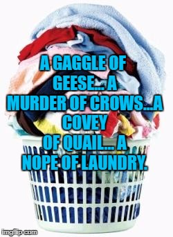 Laundry | A GAGGLE OF GEESE... A MURDER OF CROWS...A COVEY OF QUAIL... A NOPE OF LAUNDRY. | image tagged in laundry,house cleaning,chores,memes,funny,funny memes | made w/ Imgflip meme maker