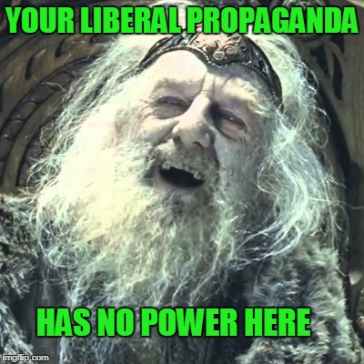 Just made for facebook comment. | YOUR LIBERAL PROPAGANDA; HAS NO POWER HERE | image tagged in you have no power here | made w/ Imgflip meme maker