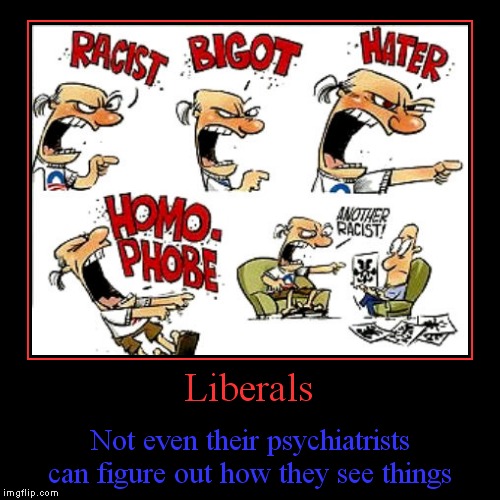 Yes I realize they are not all like this, it's only that I've seen proof of this first hand with some of them. | image tagged in funny,demotivationals,liberal logic,liberals,stupid liberals,psychiatrist | made w/ Imgflip demotivational maker