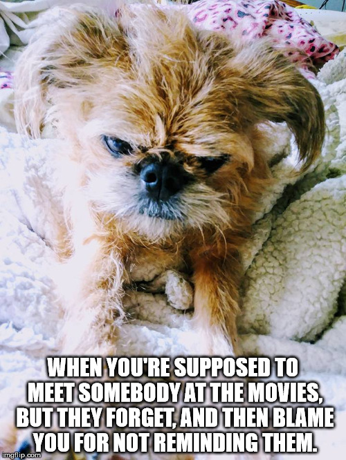 Mugsy | WHEN YOU'RE SUPPOSED TO MEET SOMEBODY AT THE MOVIES, BUT THEY FORGET, AND THEN BLAME YOU FOR NOT REMINDING THEM. | image tagged in betrayal | made w/ Imgflip meme maker