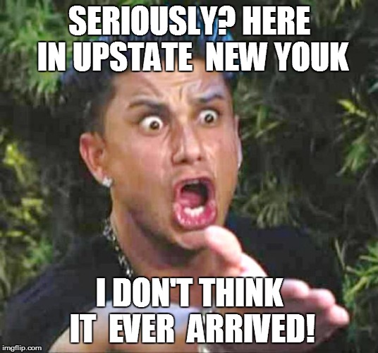 SERIOUSLY? HERE IN UPSTATE  NEW YOUK I DON'T THINK IT  EVER  ARRIVED! | made w/ Imgflip meme maker