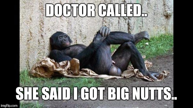 Big balls gorilla | DOCTOR CALLED.. SHE SAID I GOT BIG NUTTS.. | image tagged in big balls gorilla | made w/ Imgflip meme maker