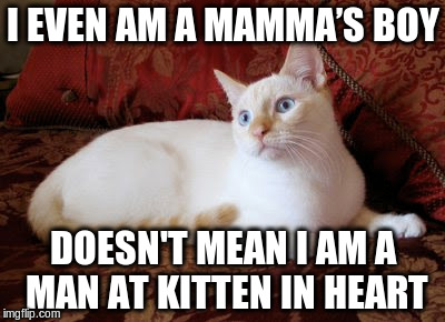 I EVEN AM A MAMMA’S BOY; DOESN'T MEAN I AM A MAN AT KITTEN IN HEART | image tagged in kittens | made w/ Imgflip meme maker