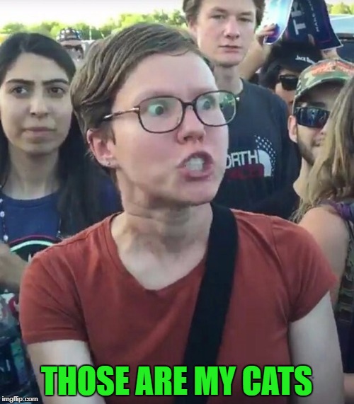 THOSE ARE MY CATS | made w/ Imgflip meme maker