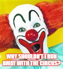 clown | WHY SHOULDN'T I RUN AWAY WITH THE CIRCUS? | image tagged in clown | made w/ Imgflip meme maker