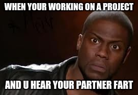 Kevin Hart Meme | WHEN YOUR WORKING ON A PROJECT; AND U HEAR YOUR PARTNER FART | image tagged in memes,kevin hart the hell | made w/ Imgflip meme maker