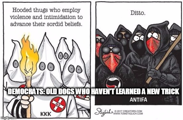 old dogs no new trick | DEMOCRATS: OLD DOGS WHO HAVEN'T LEARNED A NEW TRICK | image tagged in racism | made w/ Imgflip meme maker