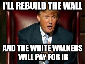 Donald Trump | I'LL REBUILD THE WALL; AND THE WHITE WALKERS WILL PAY FOR IR | image tagged in donald trump | made w/ Imgflip meme maker