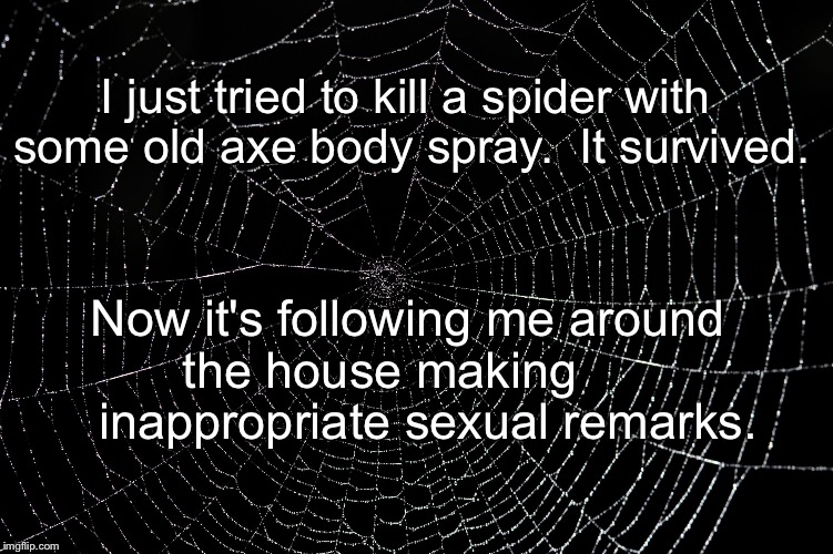 Spider Web | I just tried to kill a spider with some old axe body spray. 
It survived. Now it's following me around the house making      

inappropriate sexual remarks. | image tagged in spider web | made w/ Imgflip meme maker