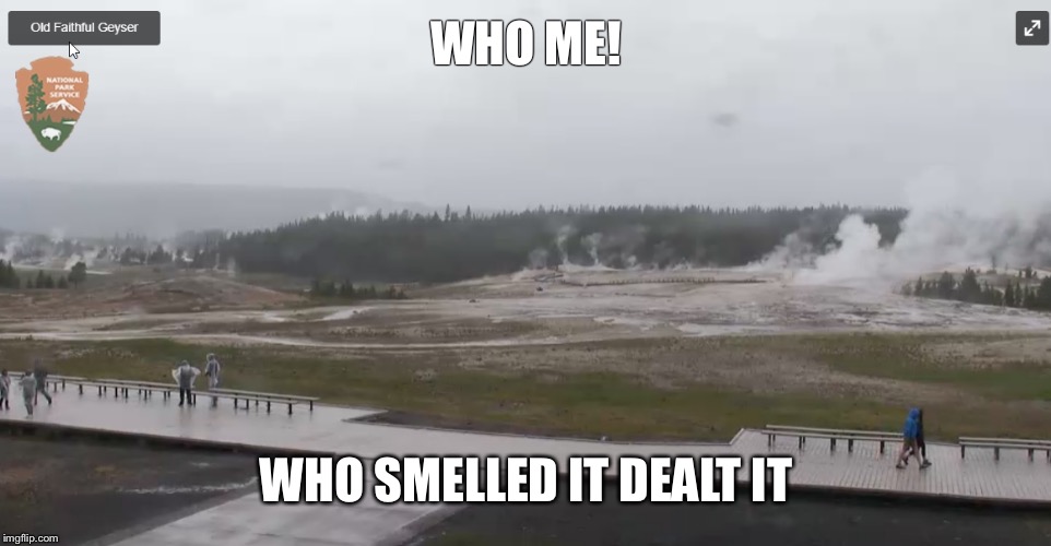 yellowstone |  WHO ME! WHO SMELLED IT DEALT IT | image tagged in yellowstone | made w/ Imgflip meme maker