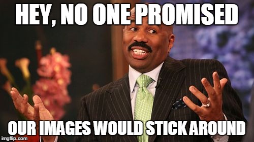 Steve Harvey Meme | HEY, NO ONE PROMISED OUR IMAGES WOULD STICK AROUND | image tagged in memes,steve harvey | made w/ Imgflip meme maker