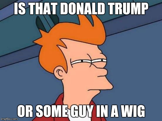 Futurama Fry | IS THAT DONALD TRUMP; OR SOME GUY IN A WIG | image tagged in memes,futurama fry | made w/ Imgflip meme maker
