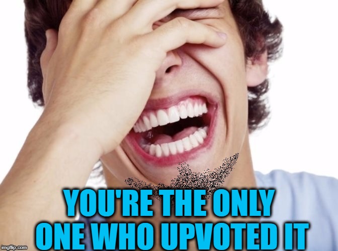 lol | YOU'RE THE ONLY ONE WHO UPVOTED IT | image tagged in lol | made w/ Imgflip meme maker