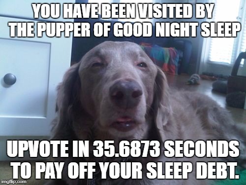 Pupper of good night sleep | YOU HAVE BEEN VISITED BY THE PUPPER OF GOOD NIGHT SLEEP; UPVOTE IN 35.6873 SECONDS TO PAY OFF YOUR SLEEP DEBT. | image tagged in memes,high dog,funny,animals,dogs,fails | made w/ Imgflip meme maker