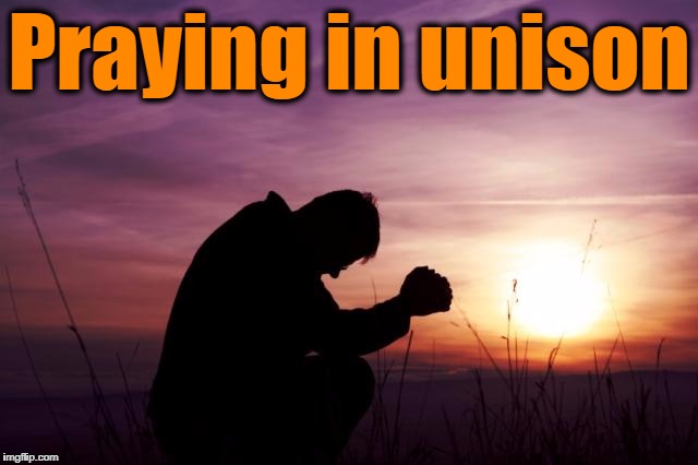 Pray | Praying in unison | image tagged in pray | made w/ Imgflip meme maker