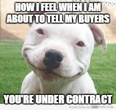 Happy Friday Puppy | HOW I FEEL WHEN I AM ABOUT TO TELL MY BUYERS; YOU'RE UNDER CONTRACT | image tagged in happy friday puppy | made w/ Imgflip meme maker