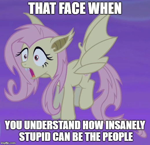 THAT FACE WHEN; YOU UNDERSTAND HOW INSANELY STUPID CAN BE THE PEOPLE | image tagged in stunned flutter bat | made w/ Imgflip meme maker